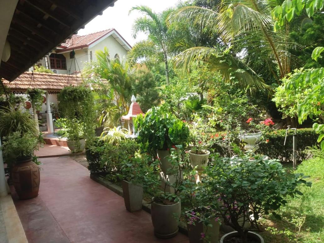 Embiente Guest House Negombo Zewnętrze zdjęcie