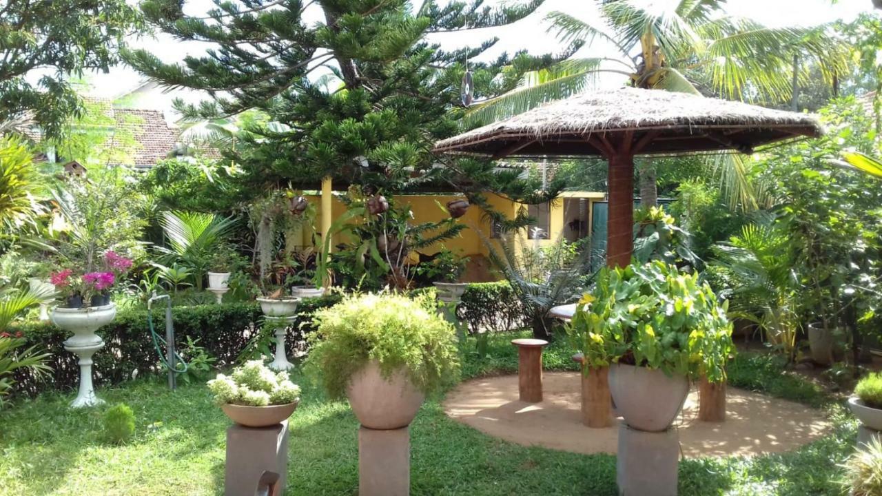 Embiente Guest House Negombo Zewnętrze zdjęcie